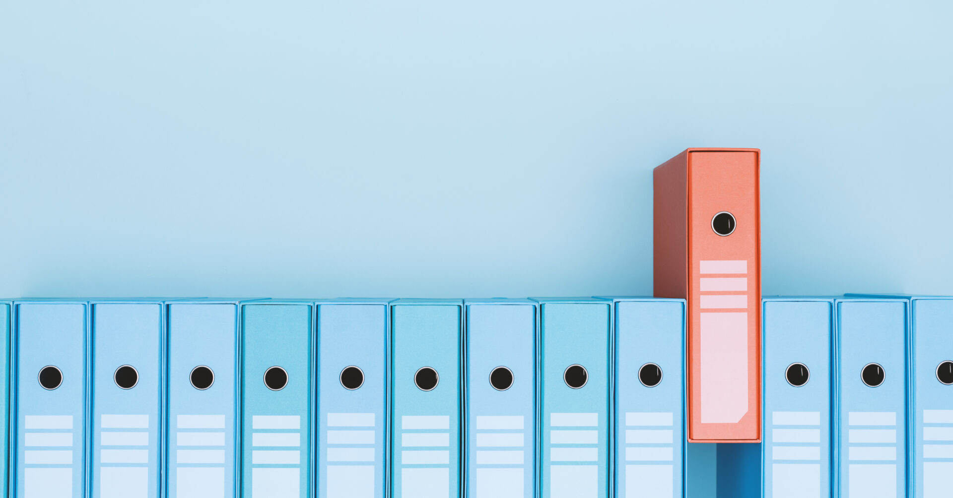 Multicolored ring binders